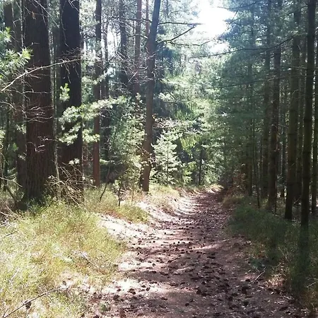 Apartman Mossauer Hoehe Mossautal