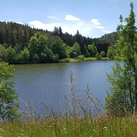 Mossauer Hoehe Apartman